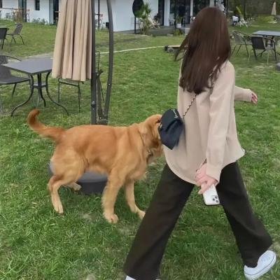 安静